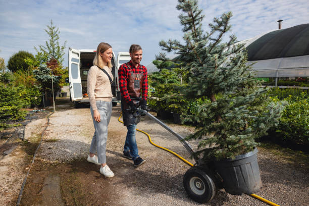 Best Emergency Tree Removal  in Shawnee Hills, OH